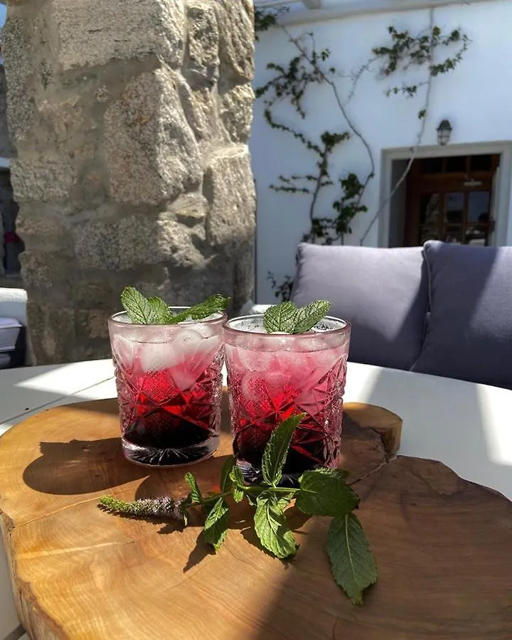 Elena Hotel Mykonos Mykonos Town